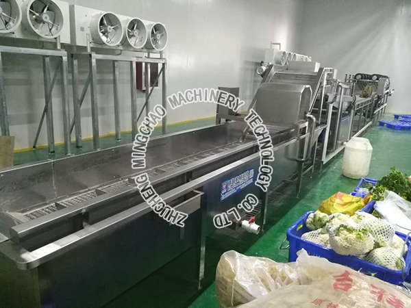 蔬菜清洗機 (1).jpg