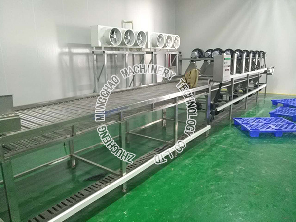 凈菜加工設備 (2).jpg