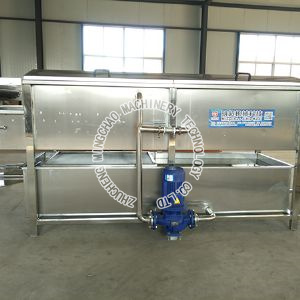 Double spray washer