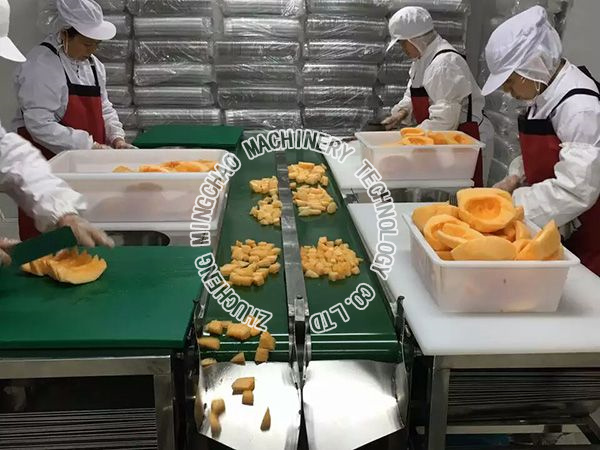 Vegetable processing line
