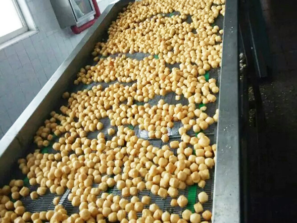 油炸機 小型油炸機 油炸線 (4).jpeg