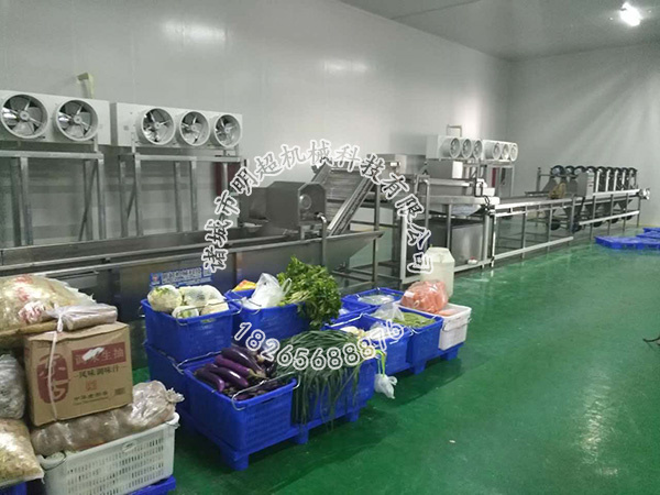 蔬菜清洗機 (8).jpg