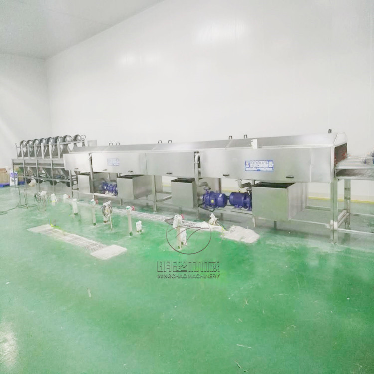蔬菜噴淋清洗機 (2).jpg