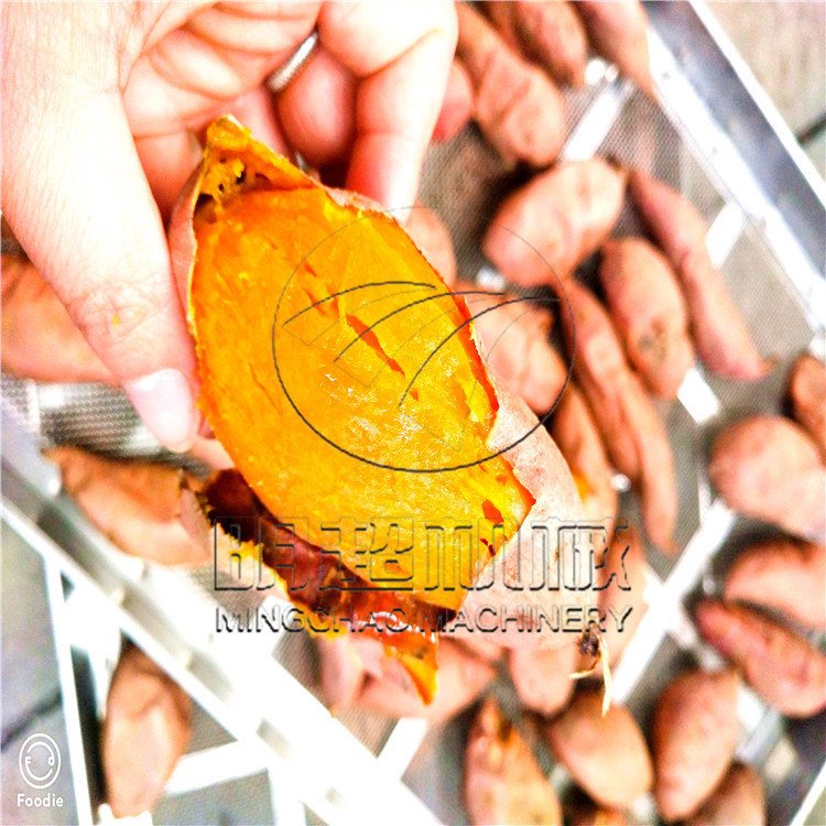紅薯烘烤線 (20).jpg