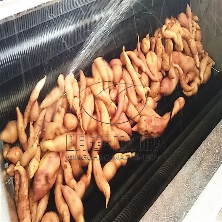 紅薯脫皮清洗機 (10).jpg
