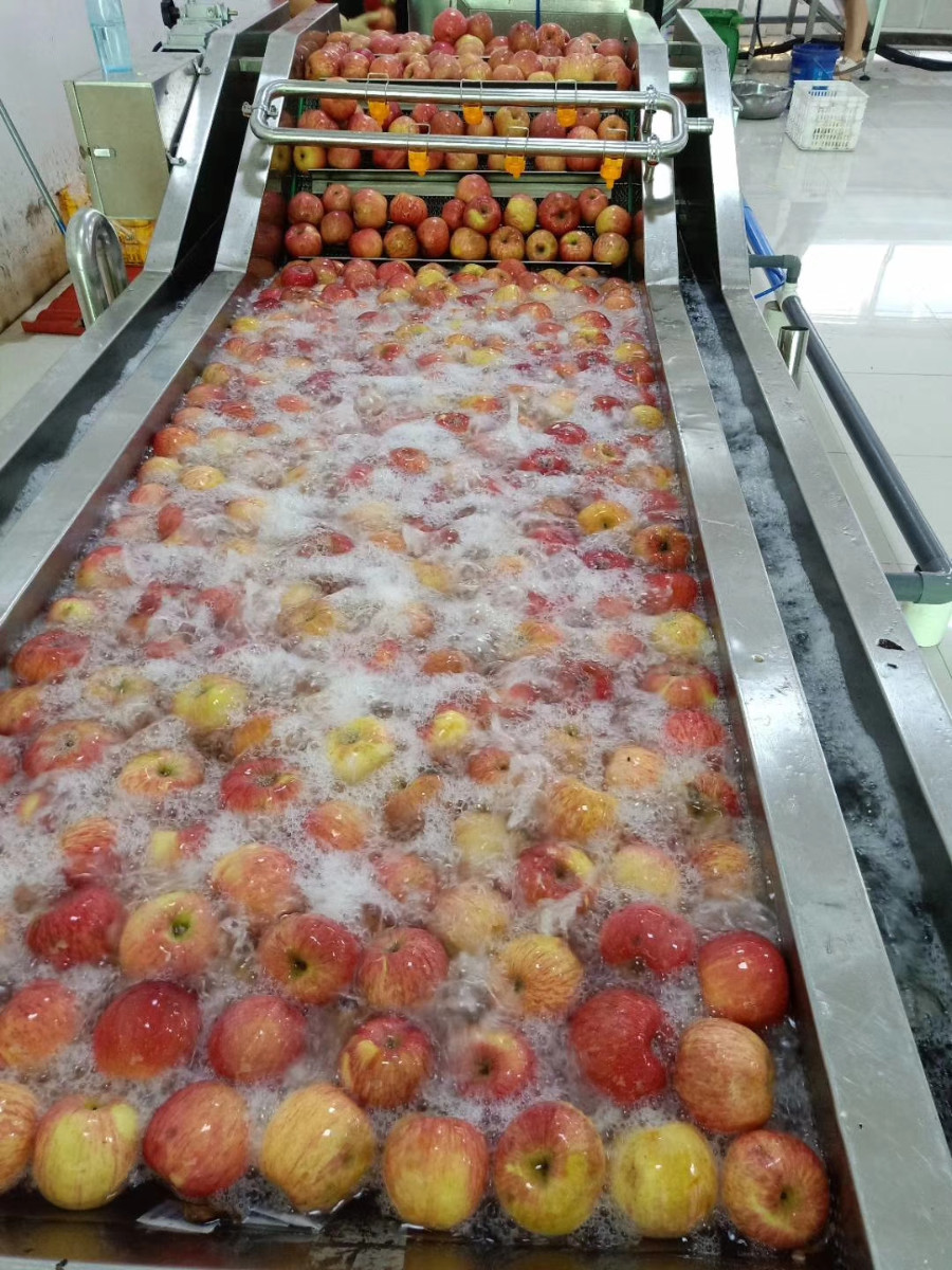 蘋(píng)果清洗機(jī) 水果清洗流水線