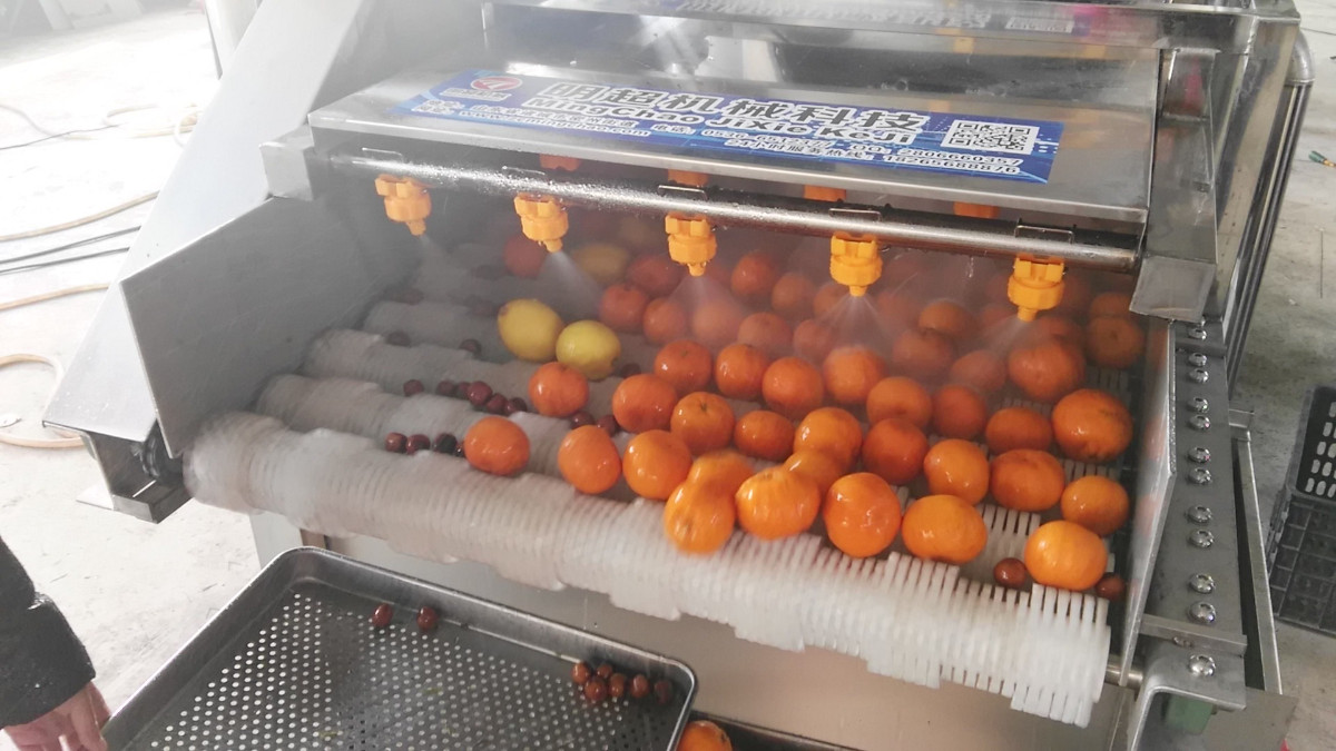 橙子清洗機 水果清洗機