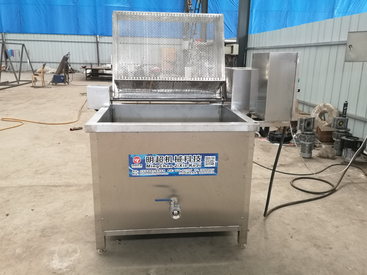 小型洗菜機(jī) 蔬菜清洗機(jī)