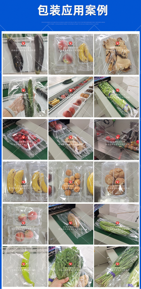 蔬菜包裝機_04.jpg