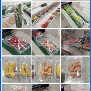 黃瓜蔬菜包裝機 小食品連續(xù)式包裝機