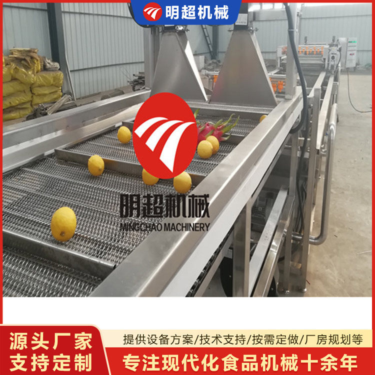 水果清洗機(jī)