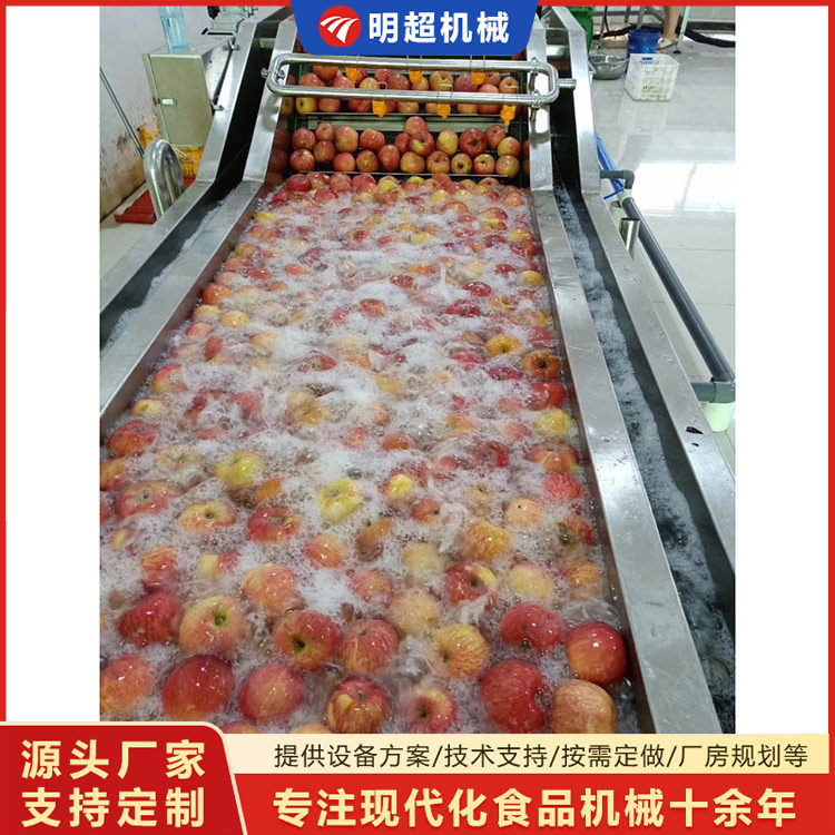 蘋果清洗機(jī)-水果清洗流水線