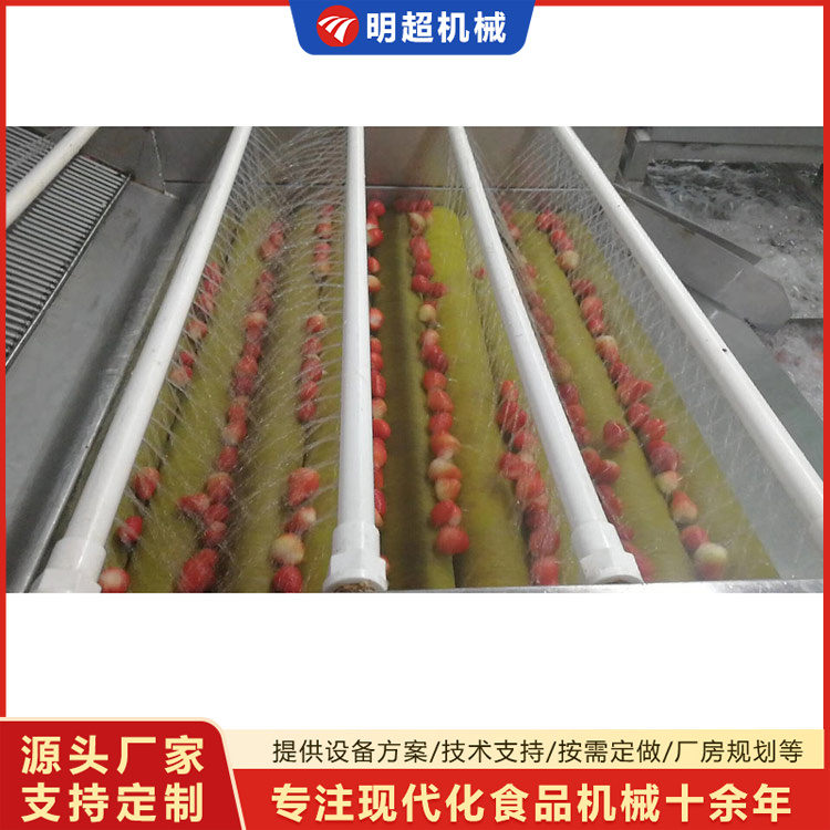 草莓清洗機-草莓毛刷清洗機