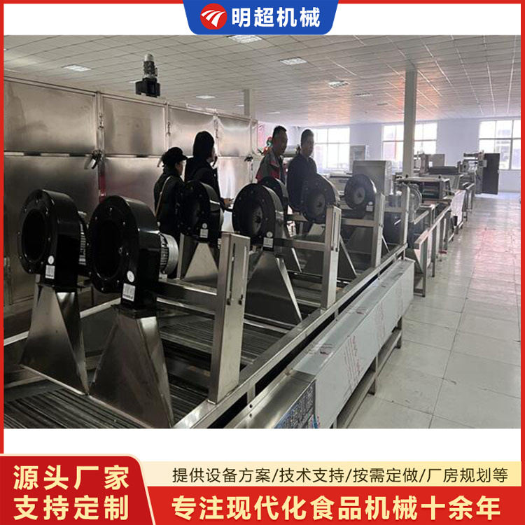 蔬菜清洗風(fēng)干流水線