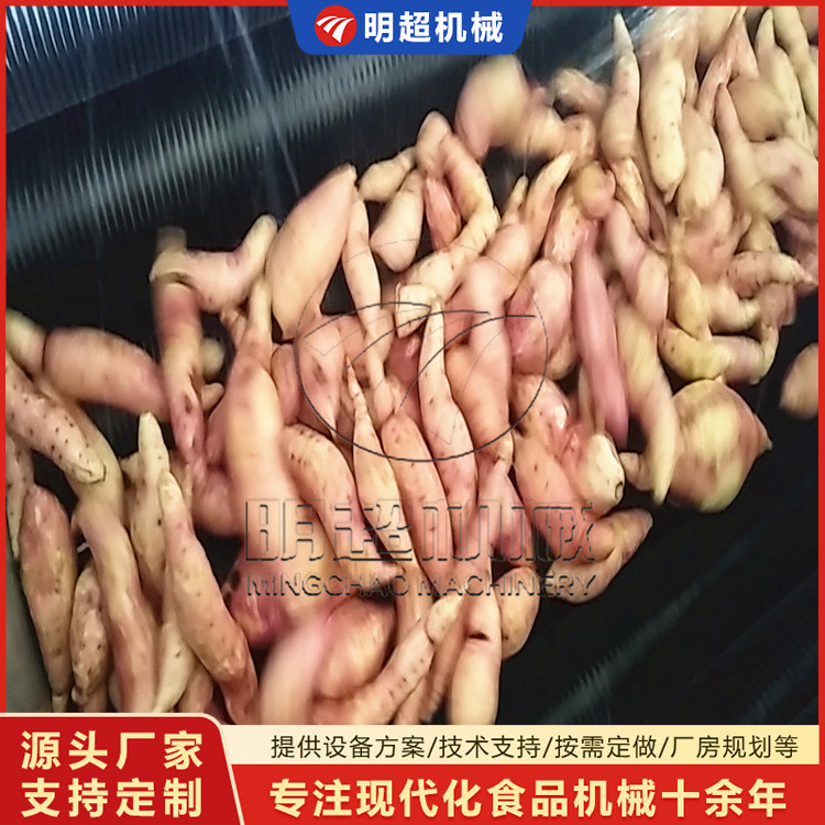 紅薯去泥沙清洗機