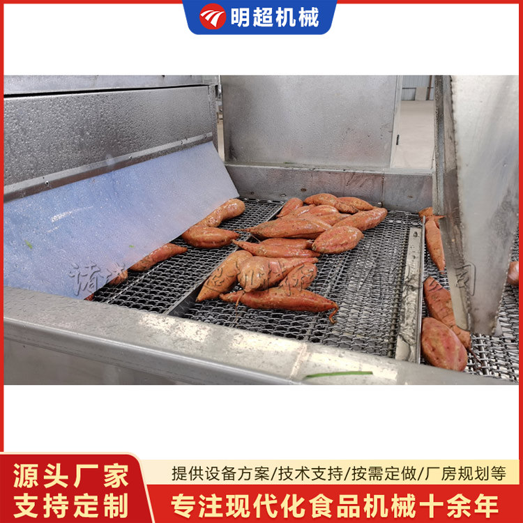 紅薯清洗機-球莖類泥沙清洗設備