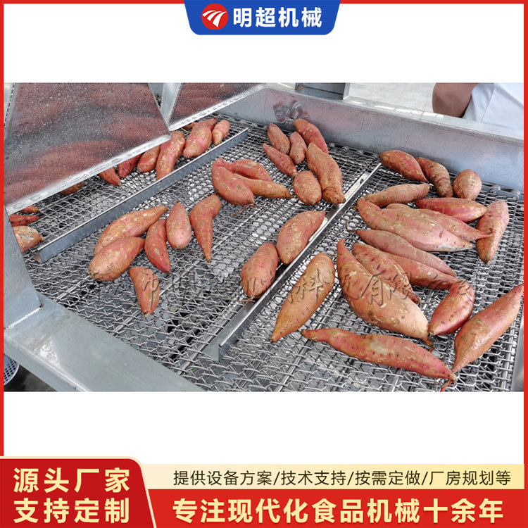 紅薯清洗機-球莖類泥沙清洗設備
